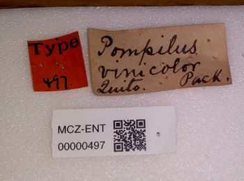 Media type: image;   Entomology 497 Aspect: labels